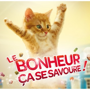 Friskies chat 100% remboursé : Sac de croquettes offert