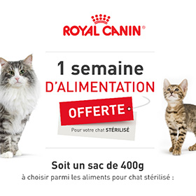 Croquettes Royal Canin gratuites : 1 sac pour chat offert