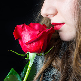 Cadeau gratuit Nocibé : Une rose stabilisée offerte
