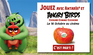 Jeu Angry Birds avec Antarès : 401 cadeaux à gagner