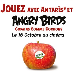 Jeu Angry Birds avec Antarès : 401 cadeaux à gagner