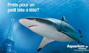 L’Aquarium de Paris : Entrées adultes gratuites pour ses 10 ans