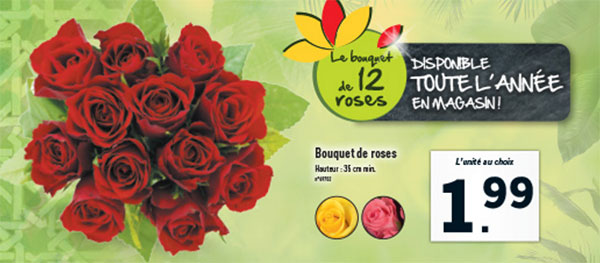 Les roses à petit prix, c’est toute l’année chez Lidl