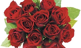 Bon plan Lidl : Bouquet de 12 roses à 1,99€