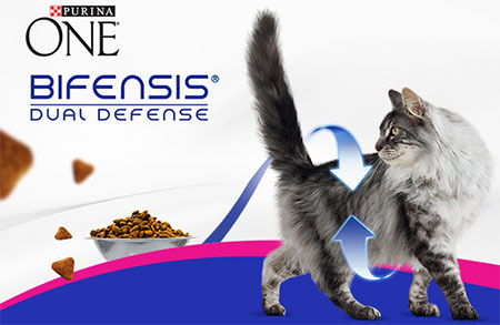 Jeu 100% gagnant : Tentez de gagner 1 an de croquettes Purina