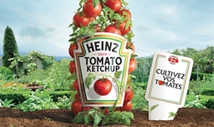 Graines de tomates Heinz gratuites : 10’000 paquets offerts