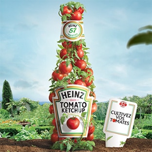 Graines de tomates Heinz gratuites : 10’000 paquets offerts
