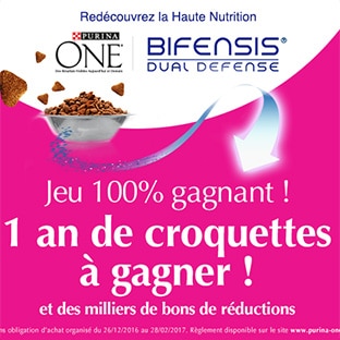 Jeu Purina One : 200 lots d’un an de croquettes à remporter