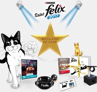 Jeu Purina-Felix.fr : Réductions et 375 cadeaux à gagner