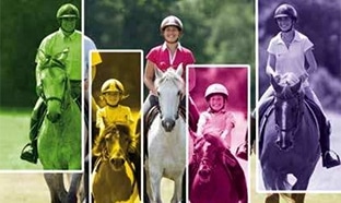 Équitation pour tous : 6 séances découvertes à 50€