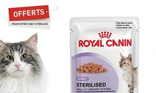 Nourriture Royal Canin gratuite : 12 sachets pour chat offerts