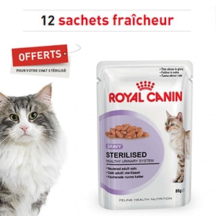 Nourriture Royal Canin gratuite : 12 sachets pour chat offerts