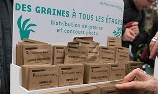 50’000 sachets de graines gratuits à Paris
