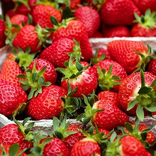 Chapeau de Paille : future maman = fraises gratuites