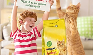 Échantillons gratuits de croquettes Friskies pour chats