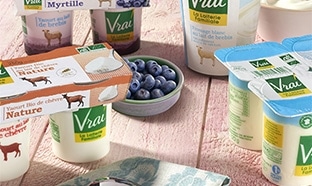 Test Vrai : 1000 lots de yaourts Bio au lait de brebis gratuits