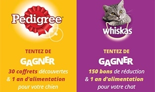 Jeu Pedigree / Whiskas : 182 cadeaux (coffrets, alimentation…)