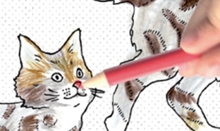 Royal Canin : Cahier à dessin animé gratuit à recevoir à domicile