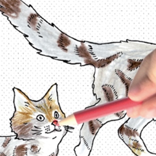Royal Canin : Cahier à dessin animé gratuit à recevoir à domicile