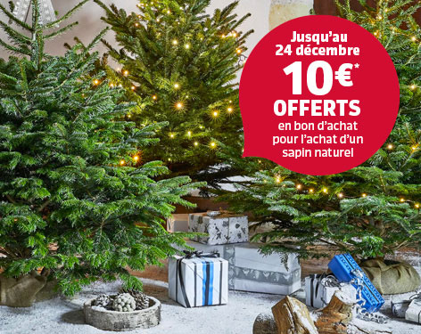 Sapin de Noël Jardiland : 10€ offerts en bon d’achat