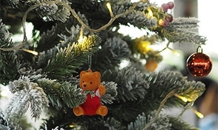 Sapin de Noël Jardiland : 10€ offerts en bon d’achat