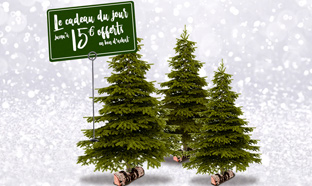 Bon plan Sapin de Noël chez Intermarché : Bon d’achat offert