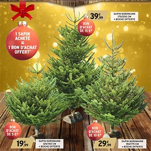 Bon plan Sapin de Noël chez Intermarché : Bon d'achat offert