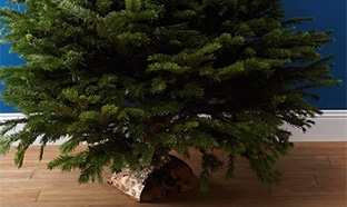 Auchan : 1 sapin de Noël acheté = bon d’achat de 10€ offert
