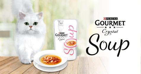 15’000 sachets de Gourmet Crystal Soup Délicat Bouillon offerts