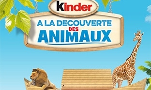 club kinder a la decouverte des animaux