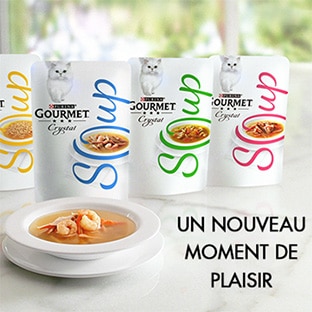 Test Gourmet : 2500 packs de 48 sachets Crystal Soup gratuits