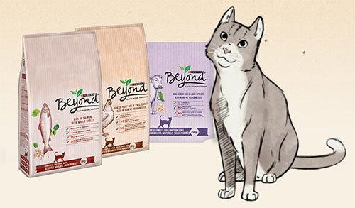 testez les croquettes au saumon Beyond pour chats 