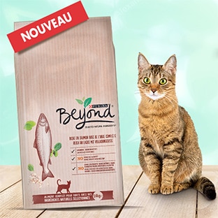 Test gratuit de croquettes pour chats Beyond