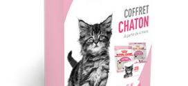 Royal Canin : Coffret chaton gratuit sur simple demande