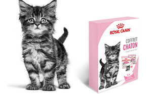 Royal Canin : Coffret chaton gratuit sur simple demande