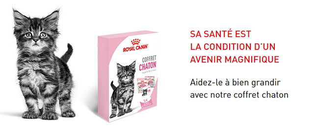Les coffrets Royal Canin offerts sur Wikichat.fr