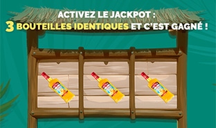 Jeu Old Nick Tropick Success