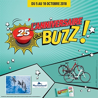 Jeu Anniversaire qui buzz Brico Dépôt : 1086 lots à gagner