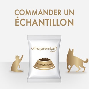 Échantillons gratuits de croquettes Ultra Premium Direct