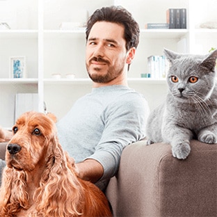 Test Advance : 8000 packs d’aliments pour chat ou chien gratuits