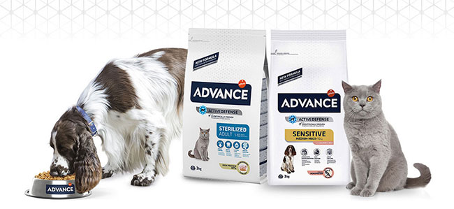 testez gratuitement les croquettes pour chat ou chien Advance