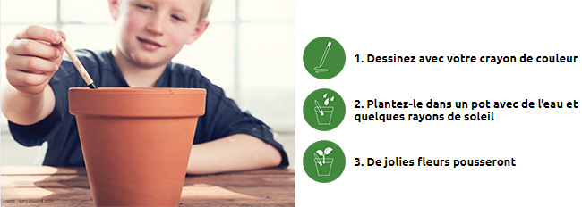 Boîte de crayons à planter offerte