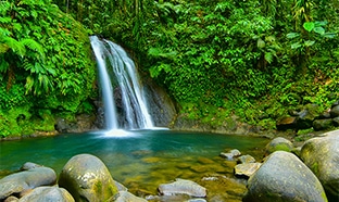 Jeu Minuscule : Séjour en Guadeloupe et places de ciné à gagner