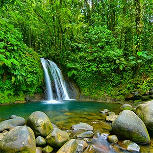 Jeu Minuscule : Séjour en Guadeloupe et places de ciné à gagner