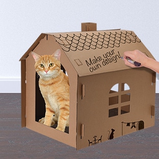 Bon Plan Action Maison Pour Chat En Carton A 2 99 Seulement