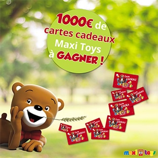 maxi toys suisse