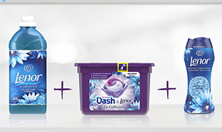 Test gratuit de la gamme Dash Lenor