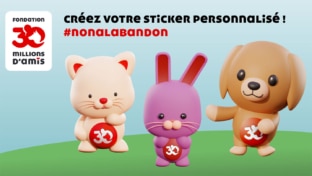 30 Millions d’Amis : Stickers « Animal à bord » personnalisés gratuits