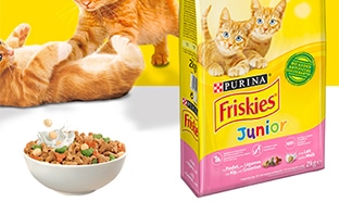 Échantillons gratuits de croquettes Friskies Junior