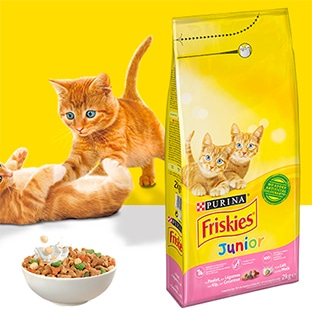 Échantillons gratuits de croquettes Friskies Junior